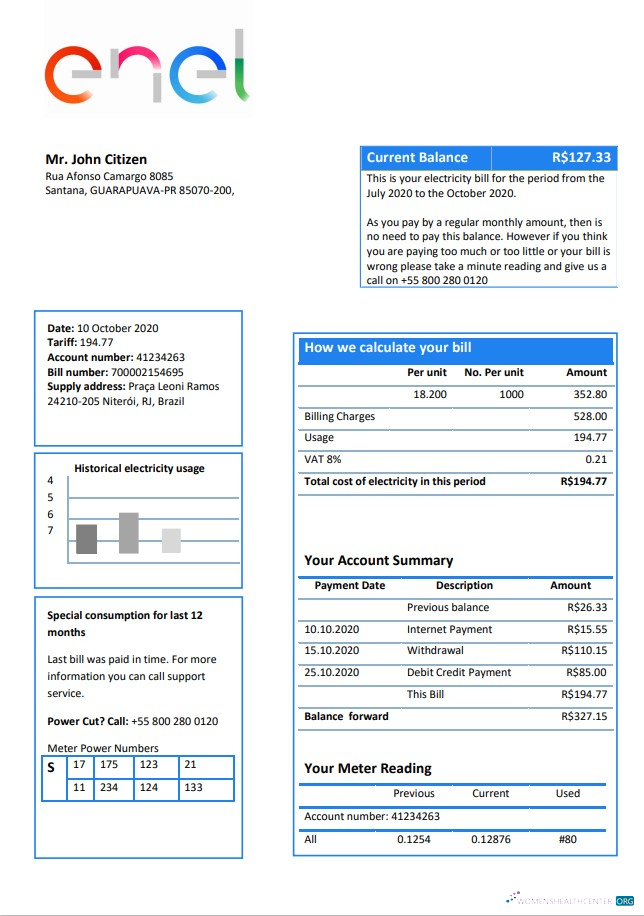 download download Brazil ENEL electricity utility bill template in Word and PDF format PDF template PDF template